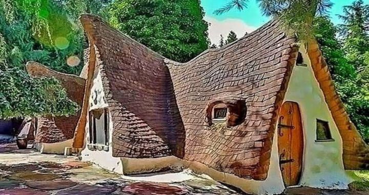 lalquilapost-amrica ki jhopari