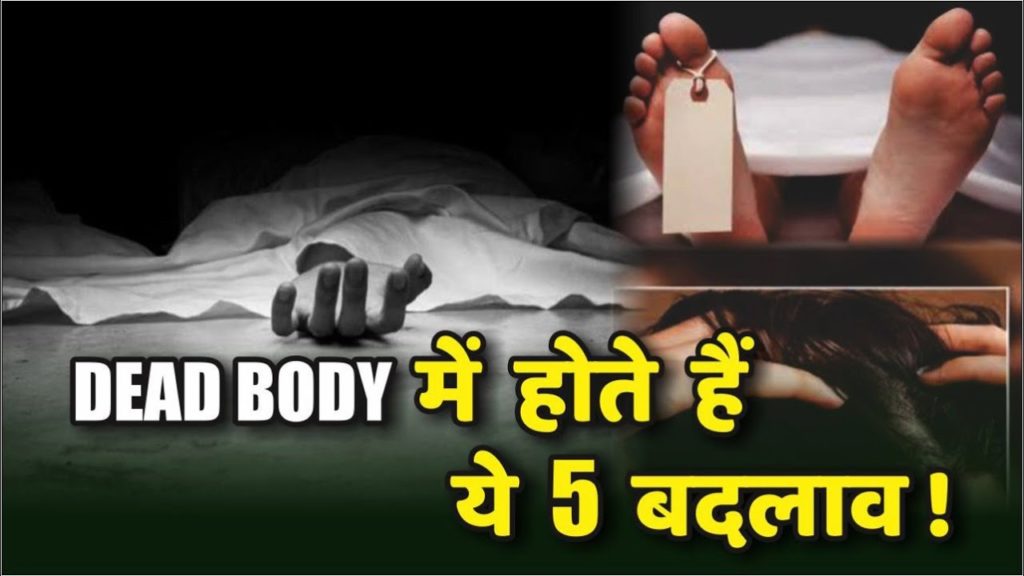 lalquilapost- ded body