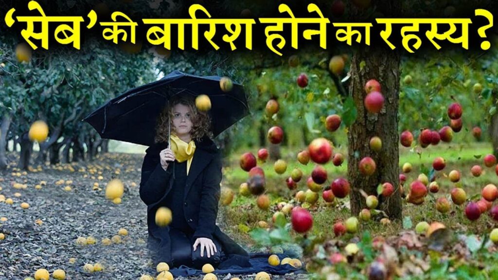 lalquilapost-apple ki baris