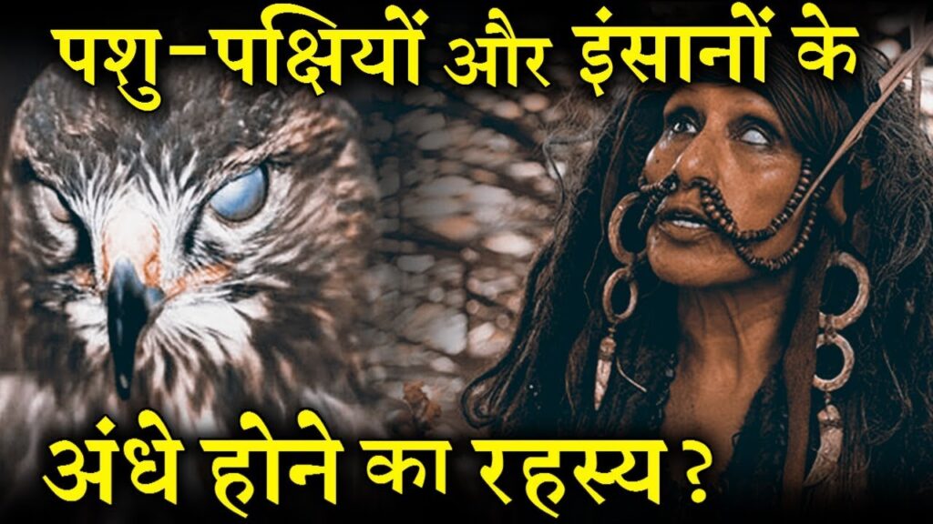 lalquilapost-sub andhey hai