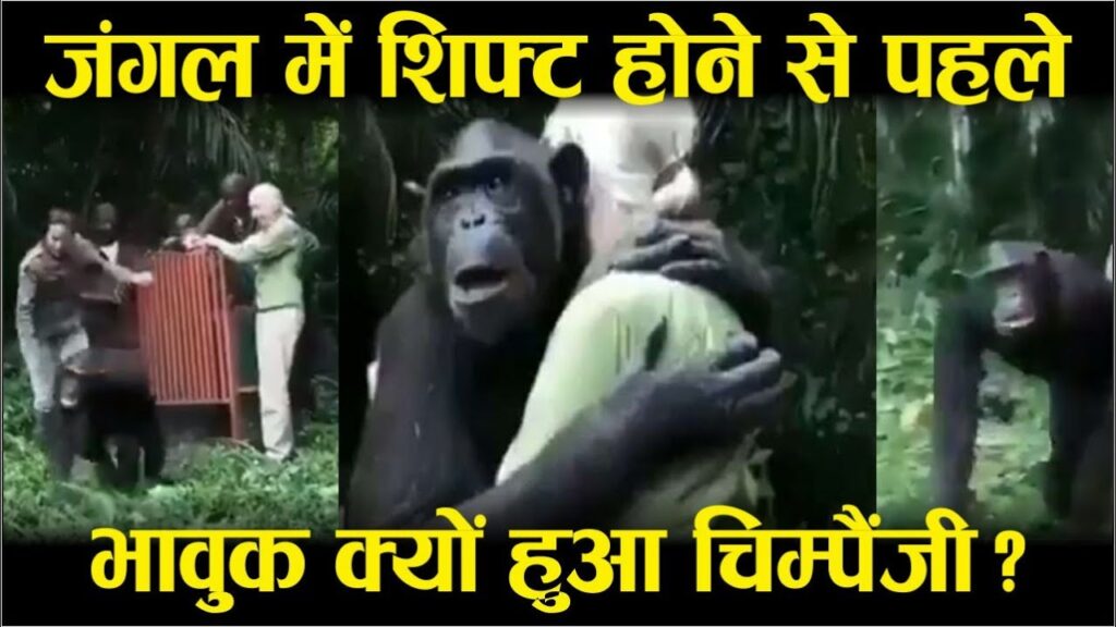 lalquilapost- chimpangi
