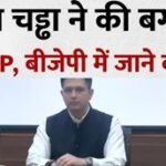 आम आदमी पार्टी संसदीय दल में बड़ी फूट: राघव चड्ढा का एलान- भाजपा में शामिल होंगे, स्वाति मालीवाल, हरभजन सिंह सहित 7 सांसद BJP में होंगे शामिल….