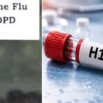 दिल्ली में H1N1 के 2,308 मामले, इन्फ्लूएंजा के केस 3,000 पार,वहीं नोएडा में एक दिन में 105 नए मामले…