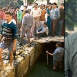 निठारी कांड-आरोपी रहे सुरेंद्र कोली का शव फंदे पर मिला,फांसी से बाल-बाल बचा कोली-आखिरकार फांसी से हुई मौत….