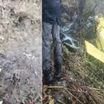 उत्तराखंड में हेलीकॉप्टर क्रैश,पायलट समेत 6 यात्रियों की मौत…