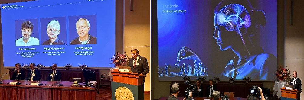 nobel in medicine